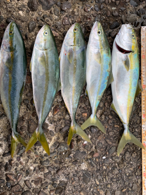 ショアジギング