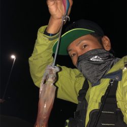 秋イカと剣先イカ☆GUNNING-STYLE