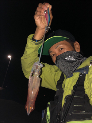 秋イカと剣先イカ☆GUNNING-STYL…