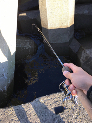 イソメ消化に穴釣り