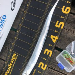 恒例の台風前にショアジギング