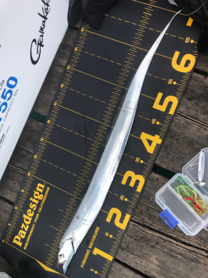 恒例の台風前にショアジギング