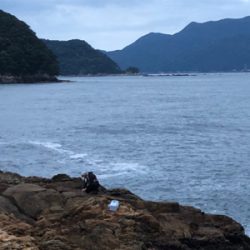 尾鷲ロックフィッシュ