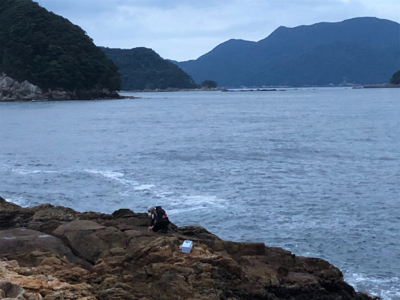 尾鷲ロックフィッシュ