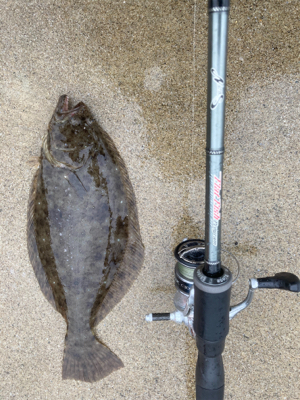 シーズンオフのアイナメ釣行