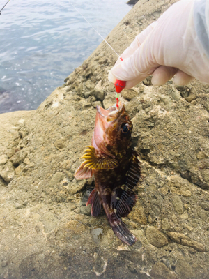 穴釣りは裏切らない