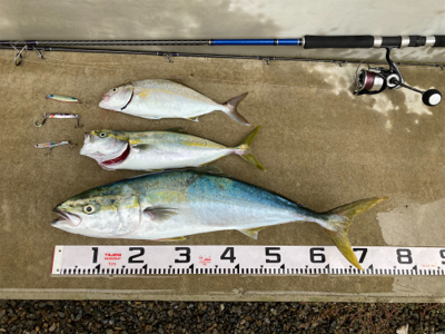 ブリ70センチを頭に、3本の青物釣果！