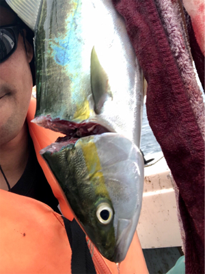 台風が直撃せず、それたのに、、、