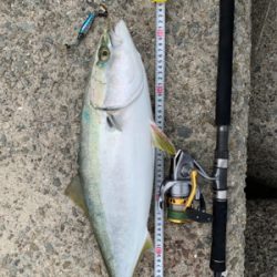 メジロ！貝塚人工島デイゲーム