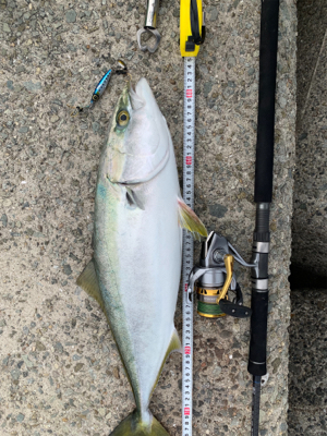 メジロ！貝塚人工島デイゲーム