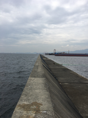 禁断の平日釣行…タチウオ不発も…メジロ、サゴシ