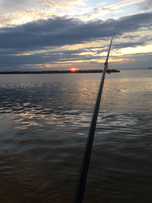 伊良湖サーフから西の浜サーフにて投げ釣りとジギング