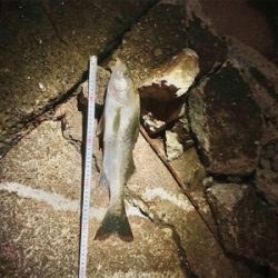 仕事終わりに1時間だけ