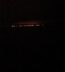 今季　初お目見え