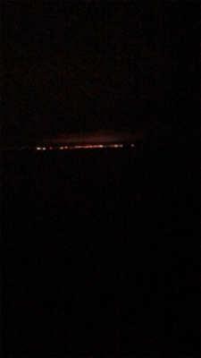 今季　初お目見え