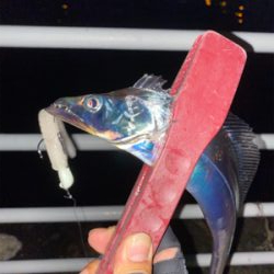 ホームもやっと開幕