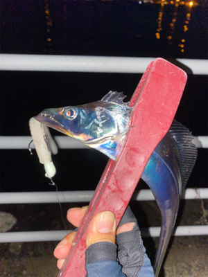 ホームもやっと開幕