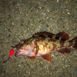 雰囲気抜群でしたが。