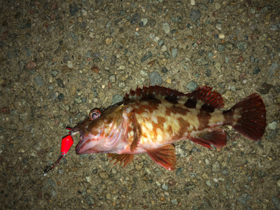 雰囲気抜群でしたが。