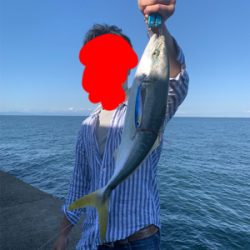 淡路島でハマチ！