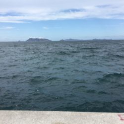 爆風の中、ただ巻きで釣れました。