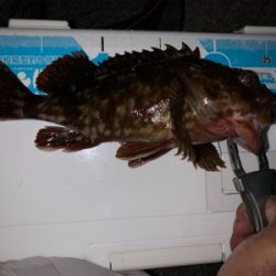 仕事帰りロック！