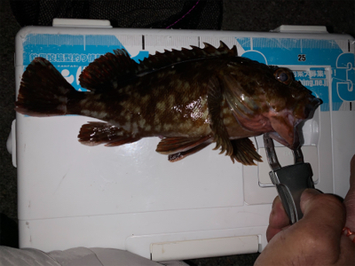 仕事帰りロック！