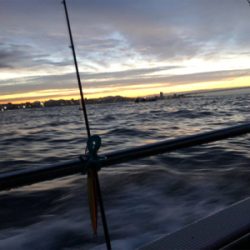 明石沖ジギング