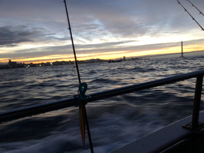 明石沖ジギング