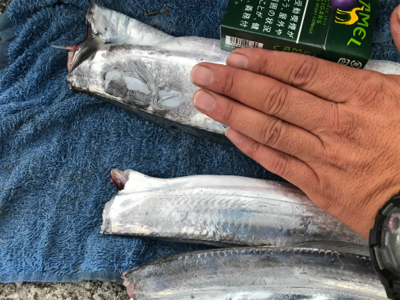 太刀魚釣り