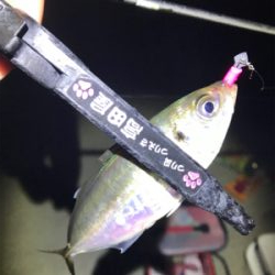 ワイワイアジング