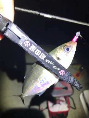 ワイワイアジング