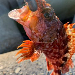 待ち時間にロック！