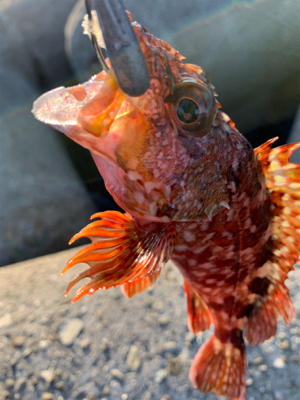 待ち時間にロック！