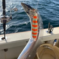 須磨沖タチウオジギング