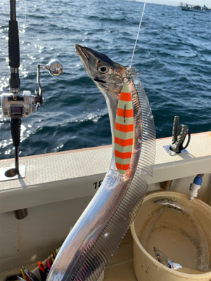 須磨沖タチウオジギング