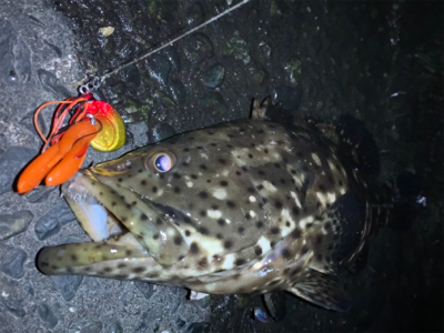 チニングの外道