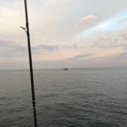 大潮祭を期待も…