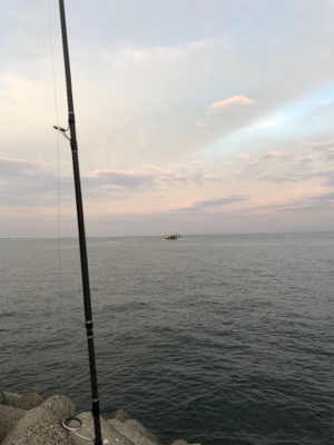 大潮祭を期待も…