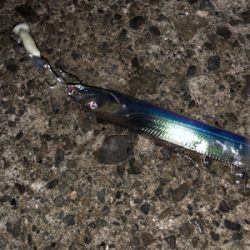 二兎追うものは他人に迷惑を掛けまくる