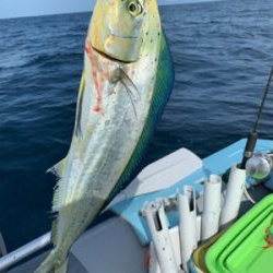 マイボートでアマダイ狙い