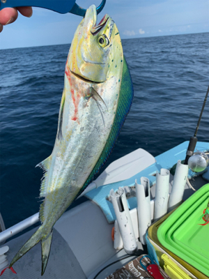 マイボートでアマダイ狙い