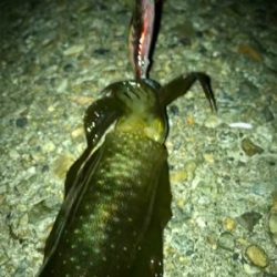 とりあえず1杯^^;