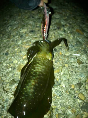 とりあえず1杯^^;