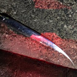 久しぶりにホームへ