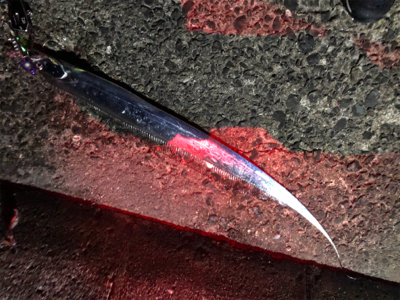 久しぶりにホームへ