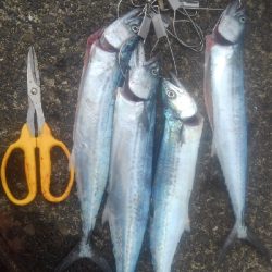 へたれでした(>_<)