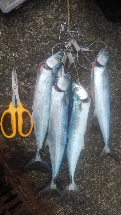 へたれでした(>_<)