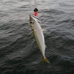 エギングロッドで小物釣り