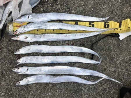 青物とタチウオ釣果見てポーアイ沖堤に